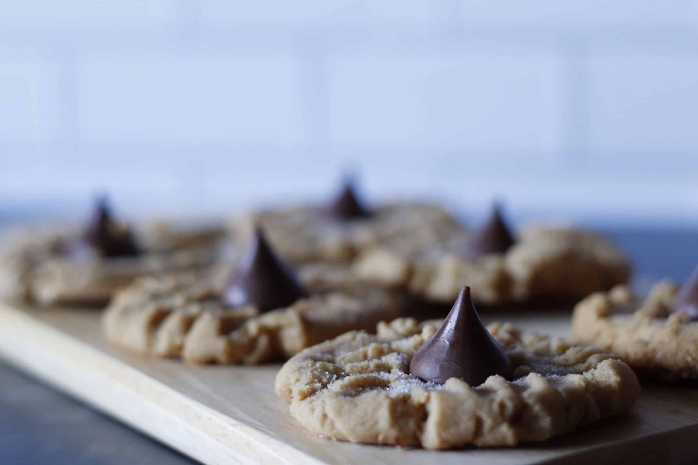 Buttery cookies topped with melted chocolate chips, freshly baked and perfect for dessert or snack time. deliciously soft and sweet, ideal for homemade treats and cookie lovers.