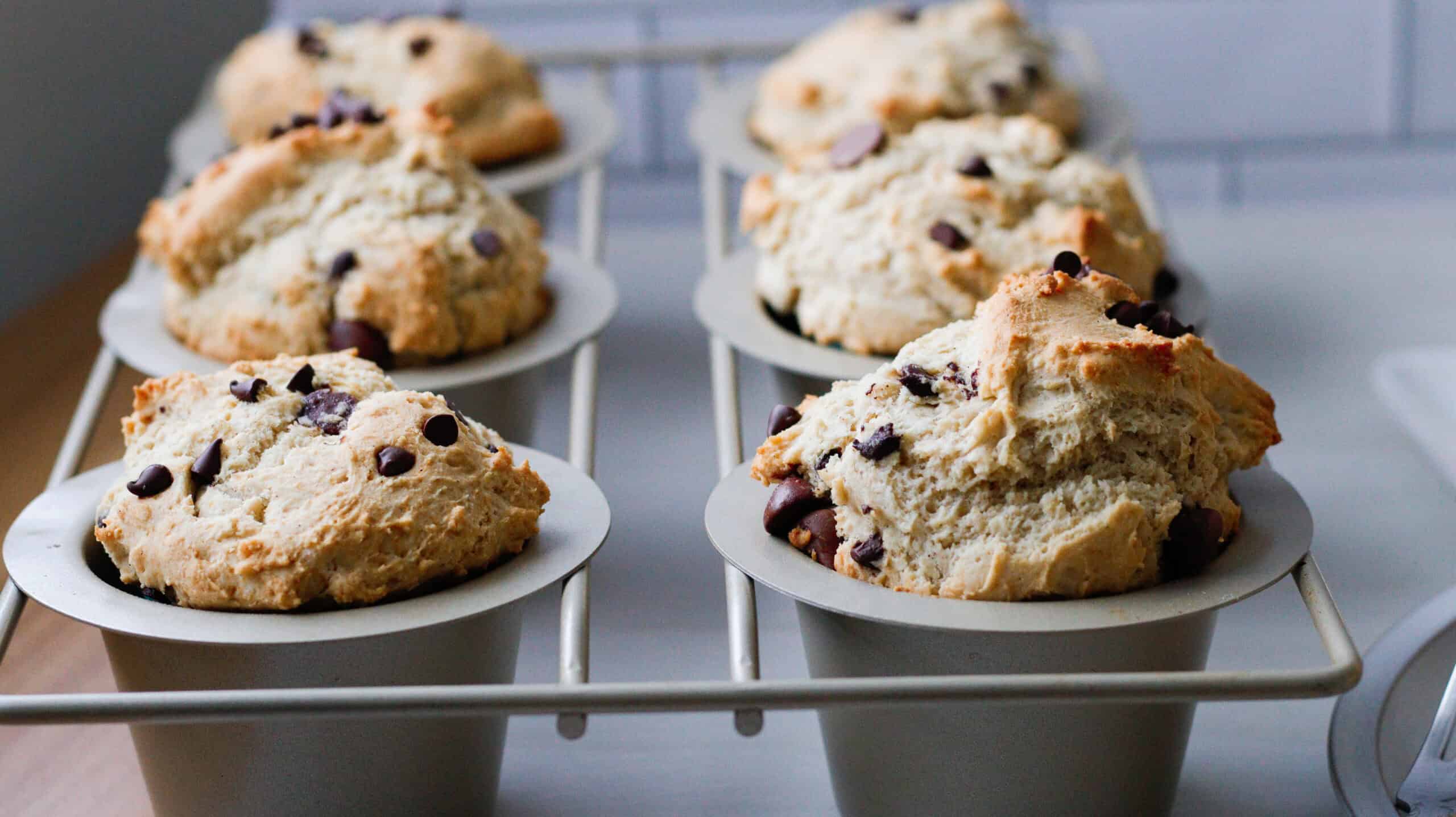 Chocolate Chip Muffins in a pan close up