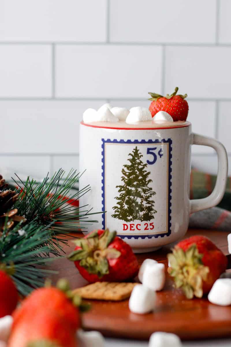 Holiday mug with high protein hot chocolate dip with strawberries and graham crackers for dipping.