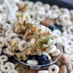 Hazelnuts, dried blueberries, granola clusters, organic snacks, healthy trail mix, mixed nuts, crunchy granola, snack nutrition, mix of nuts and berries, wholesome food ingredients.