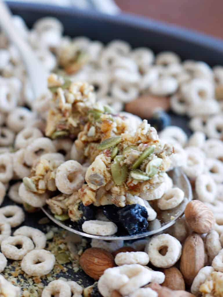 Hazelnuts, dried blueberries, granola clusters, organic snacks, healthy trail mix, mixed nuts, crunchy granola, snack nutrition, mix of nuts and berries, wholesome food ingredients.